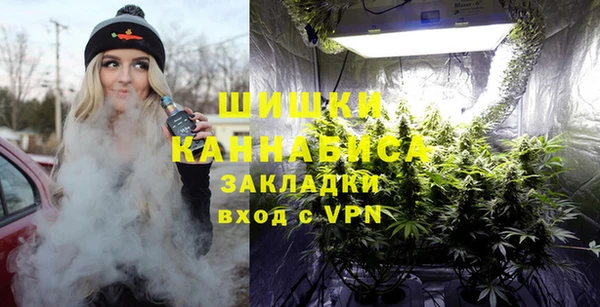 прущие грибы Балабаново