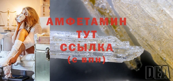 прущие грибы Балабаново