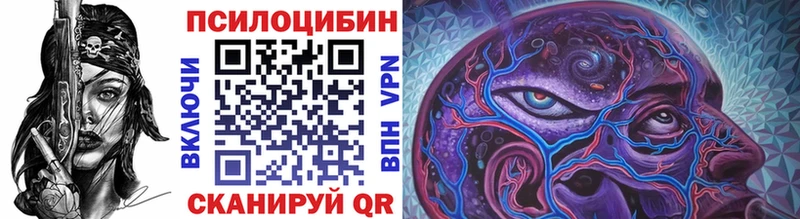 Купить  Багратионовск  Псилоцибиновые грибы Magic Shrooms 